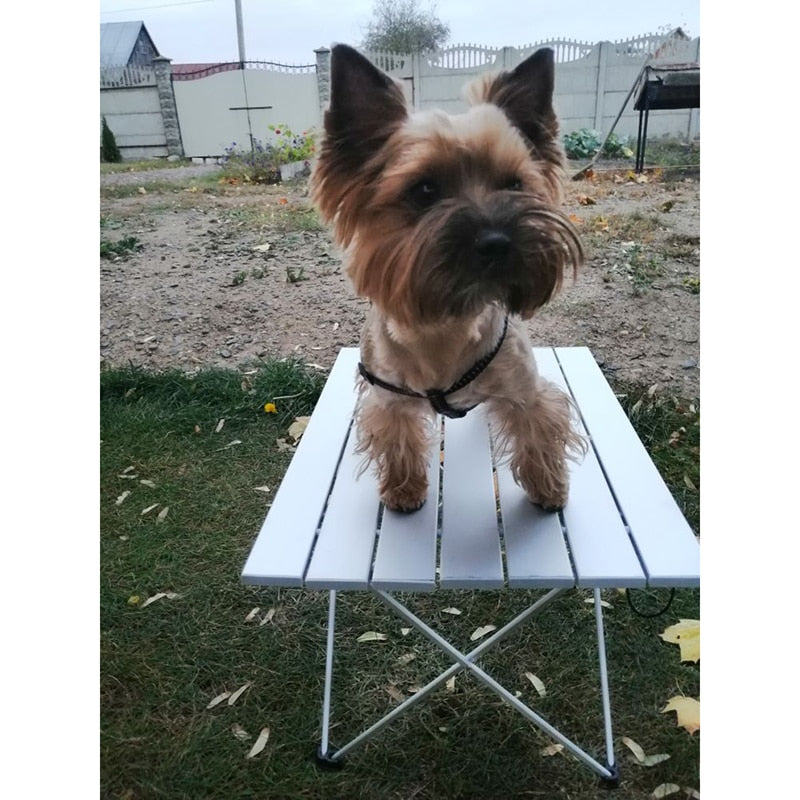 Aluminum Alloy Portable Table Outdoor Furniture Foldable Folding Camping Hiking Desk Traveling Outdoor Picnic Table Furniture