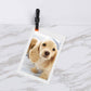 Plastic Spring Clamps Professional Heavy Duty Woodworking Tools Fixing Clips Crafts Backdrop Clamp Photography Home Improvement