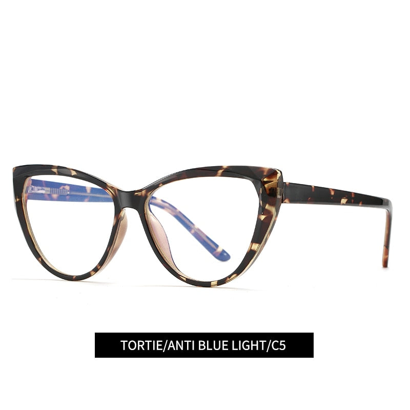Eye Clear Computer Glasses